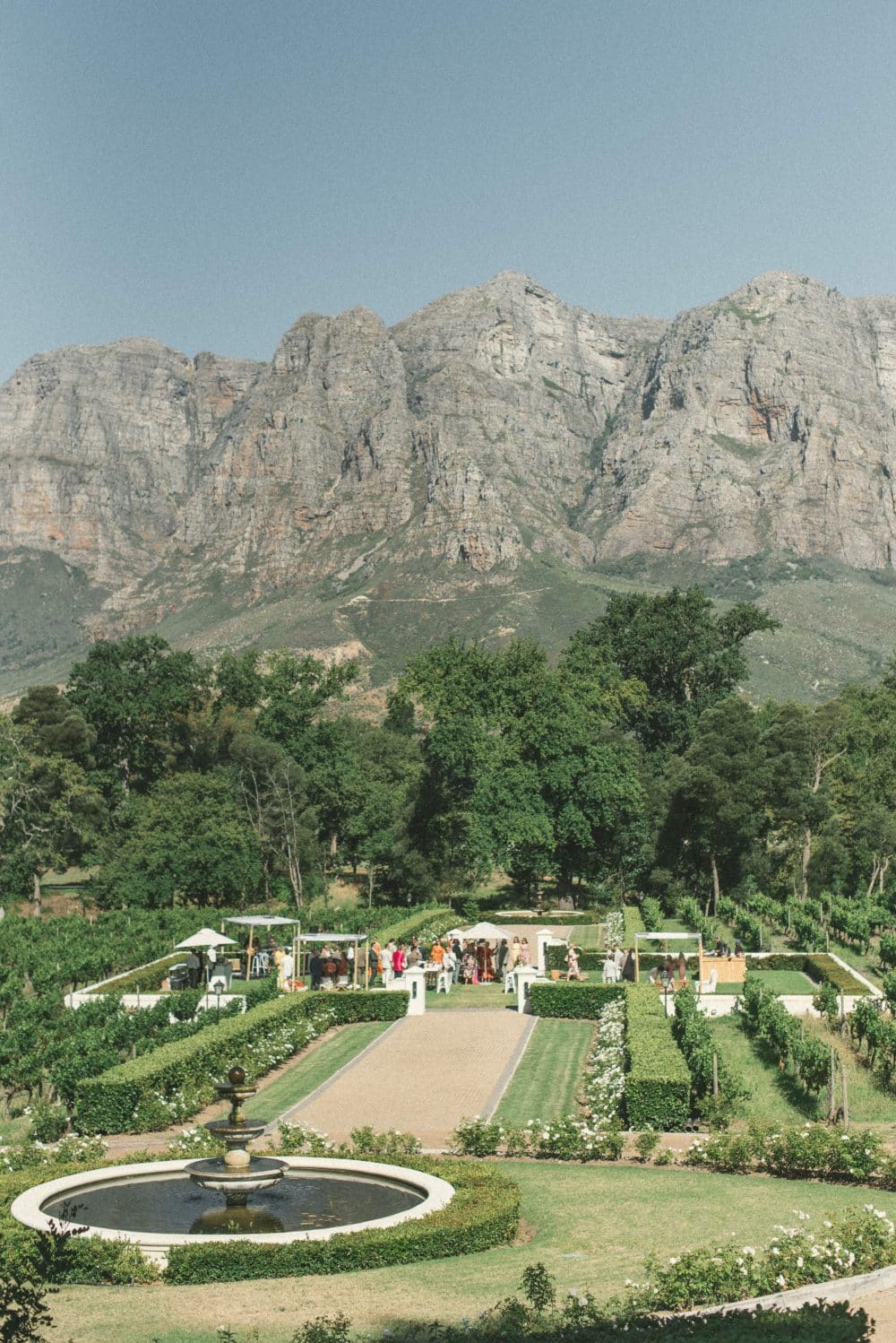 Vineyard wedding inspo, south africa